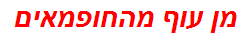 מן עוף מהחופמאים