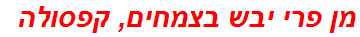 מן פרי יבש בצמחים, קפסולה