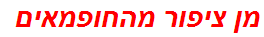 מן ציפור מהחופמאים