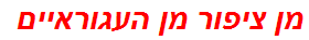 מן ציפור מן העגוראיים