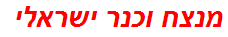 מנצח וכנר ישראלי