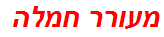 מעורר חמלה