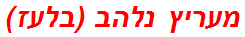 מעריץ נלהב (בלעז)