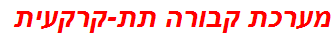 מערכת קבורה תת-קרקעית