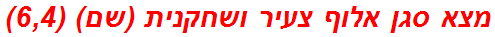 מצא סגן אלוף צעיר ושחקנית (שם) (6,4)