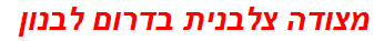 מצודה צלבנית בדרום לבנון