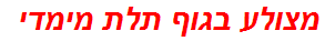 מצולע בגוף תלת מימדי