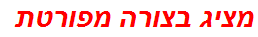 מציג בצורה מפורטת