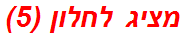 מציג לחלון (5)