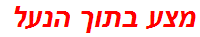 מצע בתוך הנעל