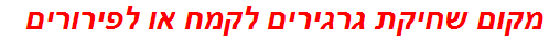 מקום שחיקת גרגירים לקמח או לפירורים