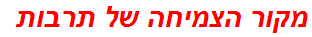 מקור הצמיחה של תרבות