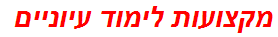 מקצועות לימוד עיוניים