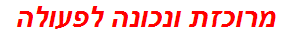 מרוכזת ונכונה לפעולה