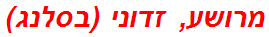 מרושע, זדוני (בסלנג)