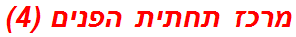 מרכז תחתית הפנים (4)