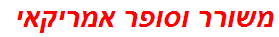 משורר וסופר אמריקאי