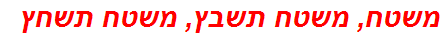 משטח, משטח תשבץ, משטח תשחץ