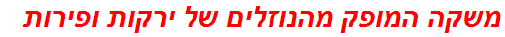 משקה המופק מהנוזלים של ירקות ופירות