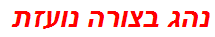 נהג בצורה נועזת