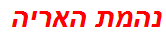 נהמת האריה