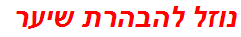 נוזל להבהרת שיער