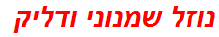 נוזל שמנוני ודליק