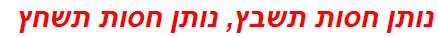 נותן חסות תשבץ, נותן חסות תשחץ