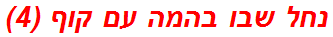 נחל שבו בהמה עם קוף (4)