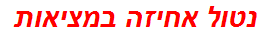 נטול אחיזה במציאות