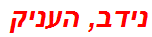 נידב, העניק