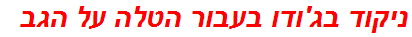 ניקוד בג'ודו בעבור הטלה על הגב