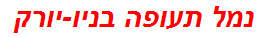 נמל תעופה בניו-יורק