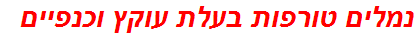 נמלים טורפות בעלת עוקץ וכנפיים