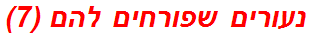 נעורים שפורחים להם (7)