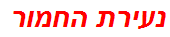 נעירת החמור