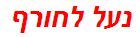 נעל לחורף