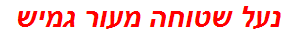 נעל שטוחה מעור גמיש