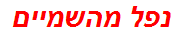 נפל מהשמיים