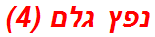 נפץ גלם (4)