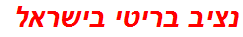 נציב בריטי בישראל