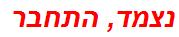 נצמד, התחבר