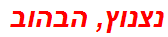 נצנוץ, הבהוב