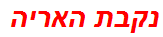 נקבת האריה