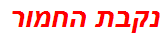 נקבת החמור