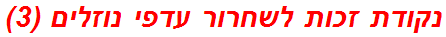 נקודת זכות לשחרור עדפי נוזלים (3)