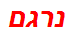 נרגם