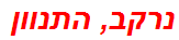 נרקב, התנוון