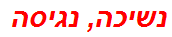 נשיכה, נגיסה