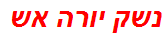 נשק יורה אש